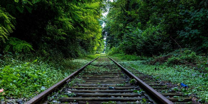 严苛工况下的生命线:深度解析石油化工特种阀门(加氢/临氢)核心技术规范