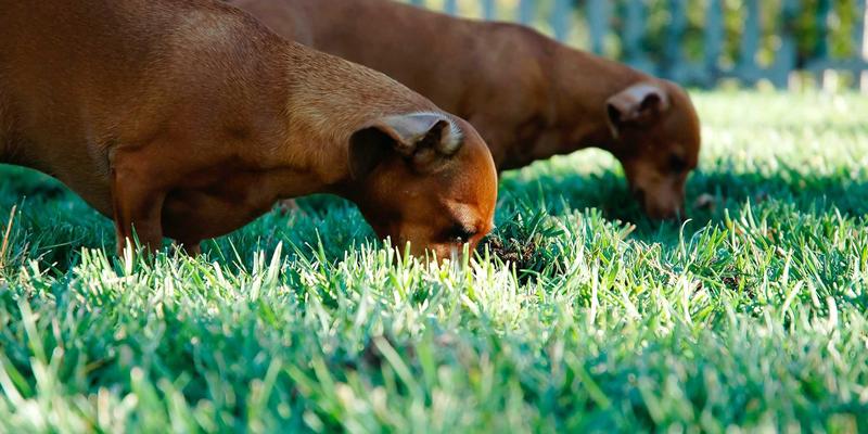 阀门流量特性如何决定控制精度？深度解析线性与等百分比对工业过程的影响